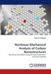 Nonlinear Mechanical Analysis of Carbon Nanostructures