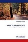 VEHICULAR POLLUTION