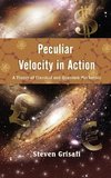 Peculiar Velocity in Action