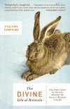 The Divine Life of Animals