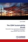 The CDM Sustainability Divide