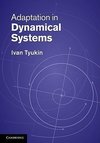 Tyukin, I: Adaptation in Dynamical Systems