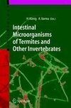 Intestinal Microorganisms of Termites and Other Invertebrates