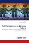 Risk Management in Complex Projects