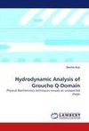 Hydrodynamic Analysis of Groucho Q-Domain