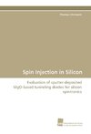 Spin Injection in Silicon