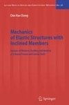 Mechanics of Elastic Structures with Inclined Members