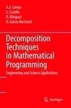 Decomposition Techniques in Mathematical Programming