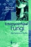 Ectomycorrhizal Fungi