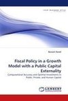 Fiscal Policy in a Growth Model with a Public Capital Externality