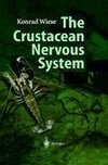 The Crustacean Nervous System