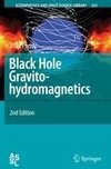 Black Hole Gravitohydromagnetics