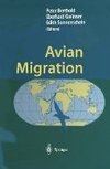 Avian Migration
