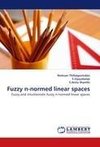 Fuzzy n-normed linear spaces