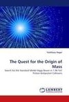 The Quest for the Origin of Mass