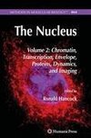 The Nucleus