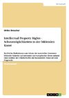 Intellectual Property Rights - Schutzmöglichkeiten in der bildenden Kunst
