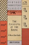 The Anatomy of the Horse - A Dissection Guide