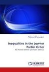 Inequalities in the Lowner Partial Order