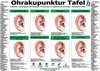Ohrakupunktur Tafel - Indikation: Neurologische Erkrankungen