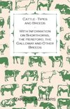 Cattle - Types and Breeds - With Information on Shorthorns, the Hereford, the Galloway and Other Breeds