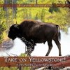 Take on Yellowstone!