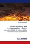 Monetary Policy and Macroeconomic Shocks: