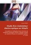 Etude d''un modulateur électro-optique en SiGe/Si