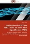 Implication de HSP70 et HSP22 dans les voies de la réparation de l''ADN