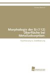 Morphologie der Si-(112) Oberfläche bei Metalladsorption: