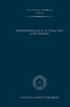 Phenomenology in Practice and Theory