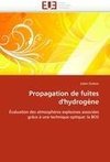 Propagation de fuites d''hydrogène
