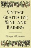 Vintage Grapes for Wine and Raisins