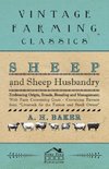 SHEEP & SHEEP HUSBANDRY - EMBR