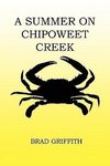 A Summer on Chipoweet Creek