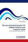 The one-dimensional spin-1/2 ANNNI model in two magnetic fields