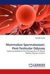 Mammalian Spermatozoon: Post-Testicular Odyssey