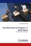 The Aftermath of Chapter 11 Bankruptcy