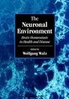 The Neuronal Environment