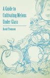 A Guide to Cultivating Melons Under Glass
