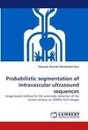 Probabilistic segmentation of intravascular ultrasound sequences