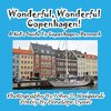 WONDERFUL WONDERFUL COPENHAGEN