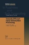 Towards Efficient Fuzzy Information Processing