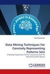 Data Mining Techniques For Concisely Representing Patterns Sets
