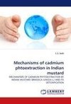 Mechanisms of cadmium phtoextraction in Indian mustard