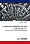 A Positivist Reexamination of Judicial Review