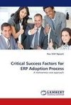 Critical Success Factors for ERP Adoption Process