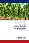 Maize Genetic Transformation