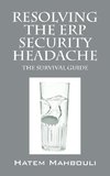 Resolving the Erp Security Headache
