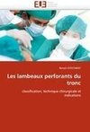 Les lambeaux perforants du tronc